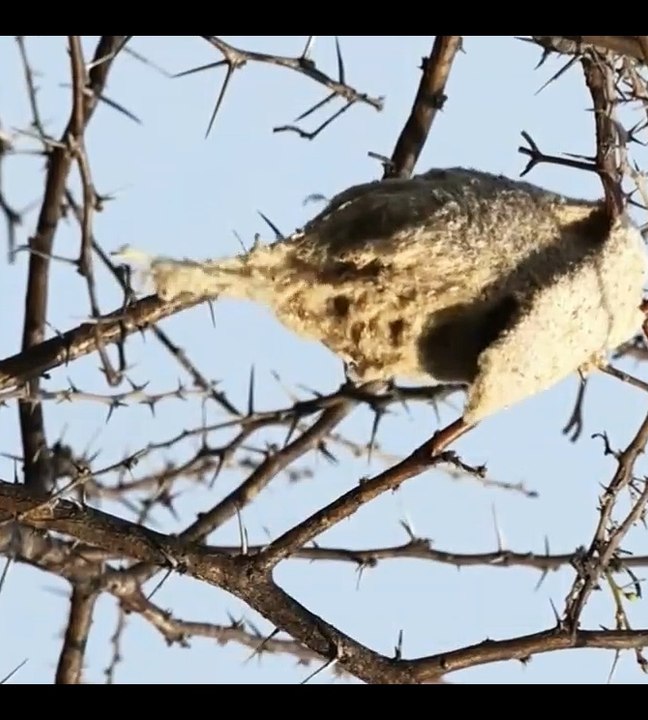 Secret hideout entrance