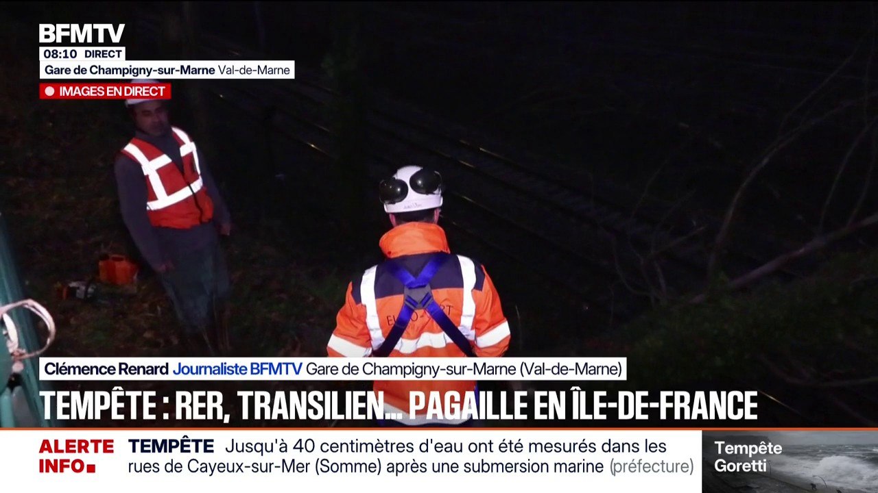 Tempête Goretti: les RER et les Transilien très perturbés en Île-de-France, des arbres couchés sur les voies