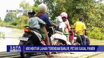 Petani Terancam Gagal Panen Imbas Banjir Rendam Lahan Persawahan | SAPA SIANG