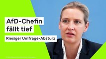 Alice Weidel: Riesiger Umfrage-Absturz - AfD-Chefin fällt tief