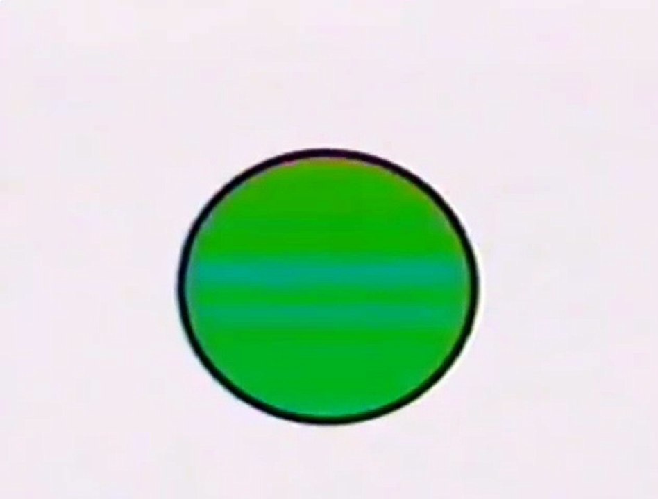 Baby English 베이비 잉글리쉬: Cecil the Circle Part 7 - Turtle