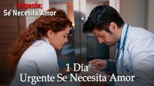 Urgente: Se Necesita Amor 1 Día #4