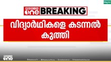 വടക്കാഞ്ചേരിയിൽ വിദ്യാർഥികൾക്ക് കടന്നൽ കുത്തേറ്റു