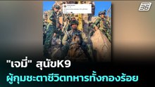 "เจมี่" สุนัขK9 ผู้กุมชะตาชีวิตทหารทั้งกองร้อย | เข้มข่าวค่ำ | 7 ม.ค. 69