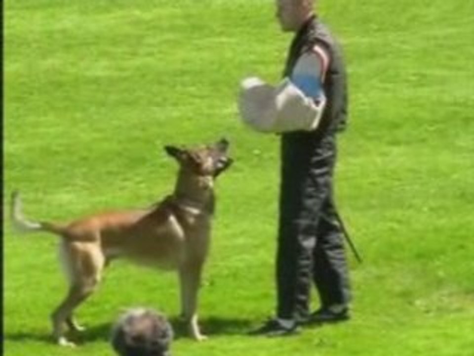 FMBB-2007-Skogster/Chortoryiski