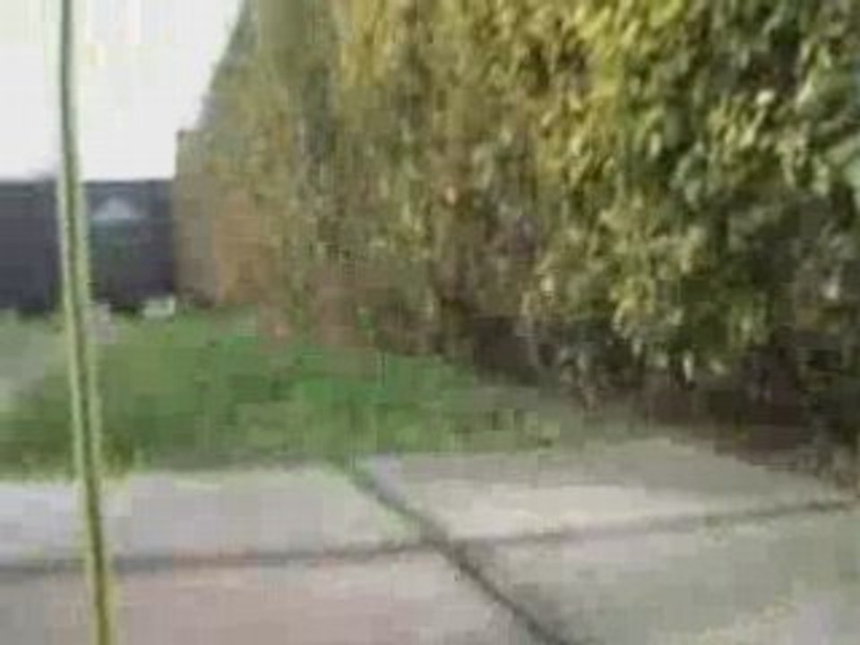 My Peugeot 206 WRC RC Car!