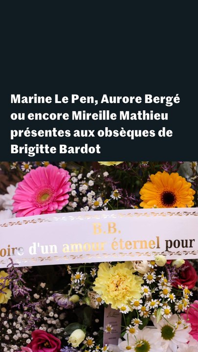 Obsèques de Brigitte Bardot : les images des différentes personnalités présentes