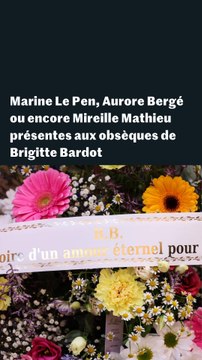 Obsèques de Brigitte Bardot : les images des différentes personnalités présentes