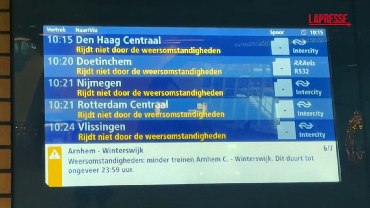 I Paesi Bassi colpiti da un'ondata di freddo: Amsterdam sommersa dalla neve