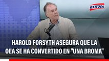 Harold Forsyth asegura que la OEA se ha convertido en 