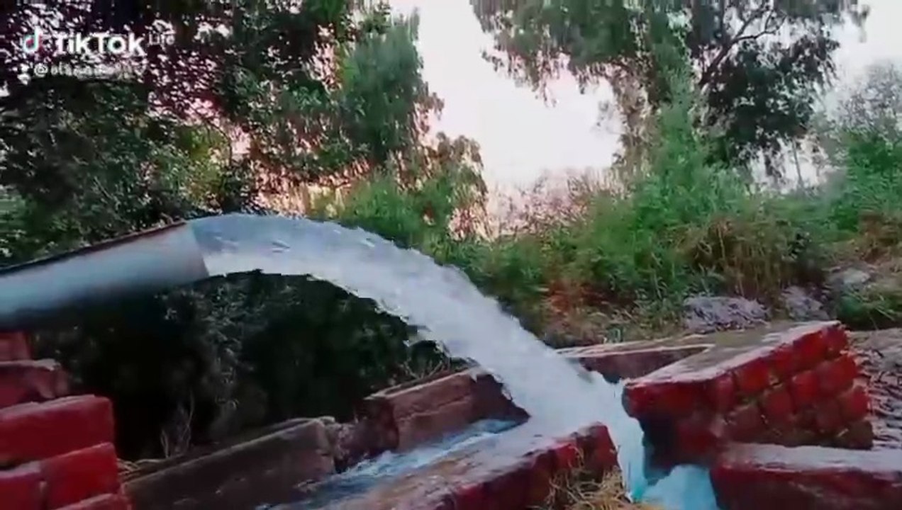 Punjabi mohal