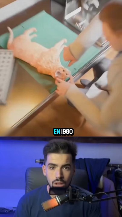 Il a mit un micro