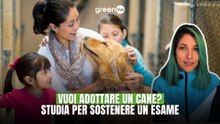 Vuoi adottare un cane? Studia per sostenere un esame