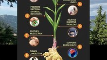 9 amazing health benefits of ginger