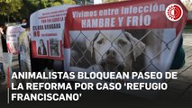 Animalistas bloquean Paseo de la Reforma por caso ‘Refugio Franciscano’