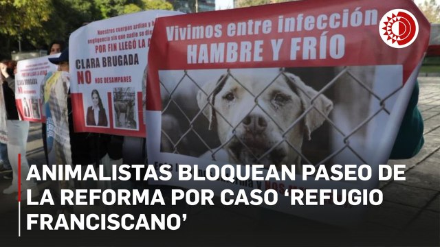 Animalistas bloquean Paseo de la Reforma por caso ‘Refugio Franciscano’