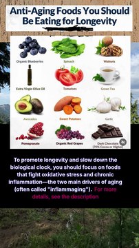 anti aging foods you should be eating for longevity