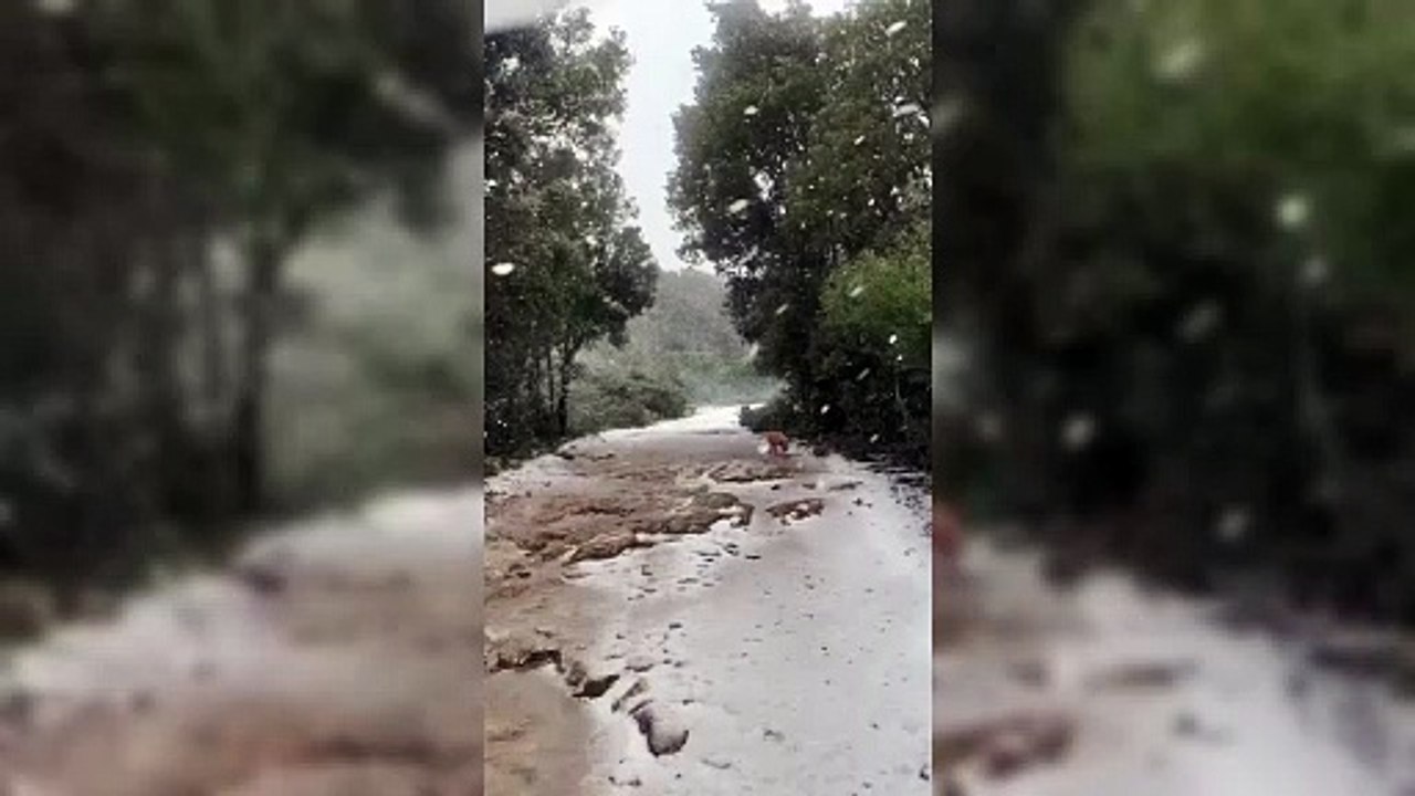 Gelo in Sardegna, la bufera di neve sui monti di Domusnovas