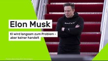 Elon Musk: KI wird langsam zum Problem - aber keiner handelt