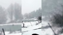 La neve imbianca i boschi di Fonni, paesaggi da favola in Sardegna