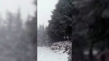 La neve imbianca i boschi di Fonni, i paesaggi da favola in Sardegna