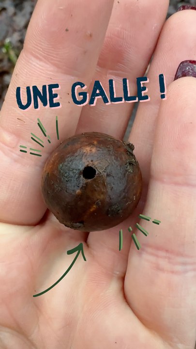Une sacré boule !