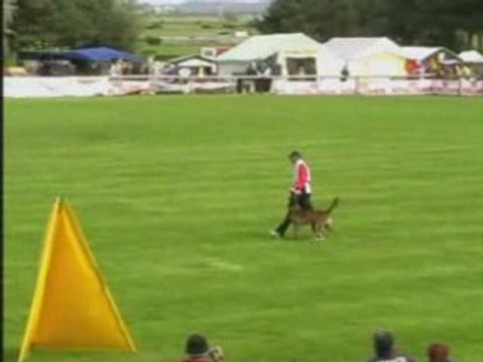 FMBB-2007-Verslijpe/Yagus