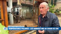 les condamnés incarcérés / Début des soldes d'hiver, une période clé pour le commerce local / Avec les températures négatives, le parc zoologique a décidé de fermer ses portes pour protéger les animaux