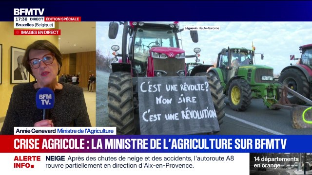 Marschall Truchot : Crise agricole, la ministre de l'Agriculture sur BFMTV - 07/01