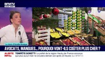 LE CHOIX D'AMÉLIE - Avocats, mangues... Le gouvernement suspend l'importation de fruits et légumes traités avec des pesticides interdits