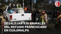 Desalojan 936 animales del Refugio Franciscano en Cuajimalpa; manifestantes se oponen al retiro