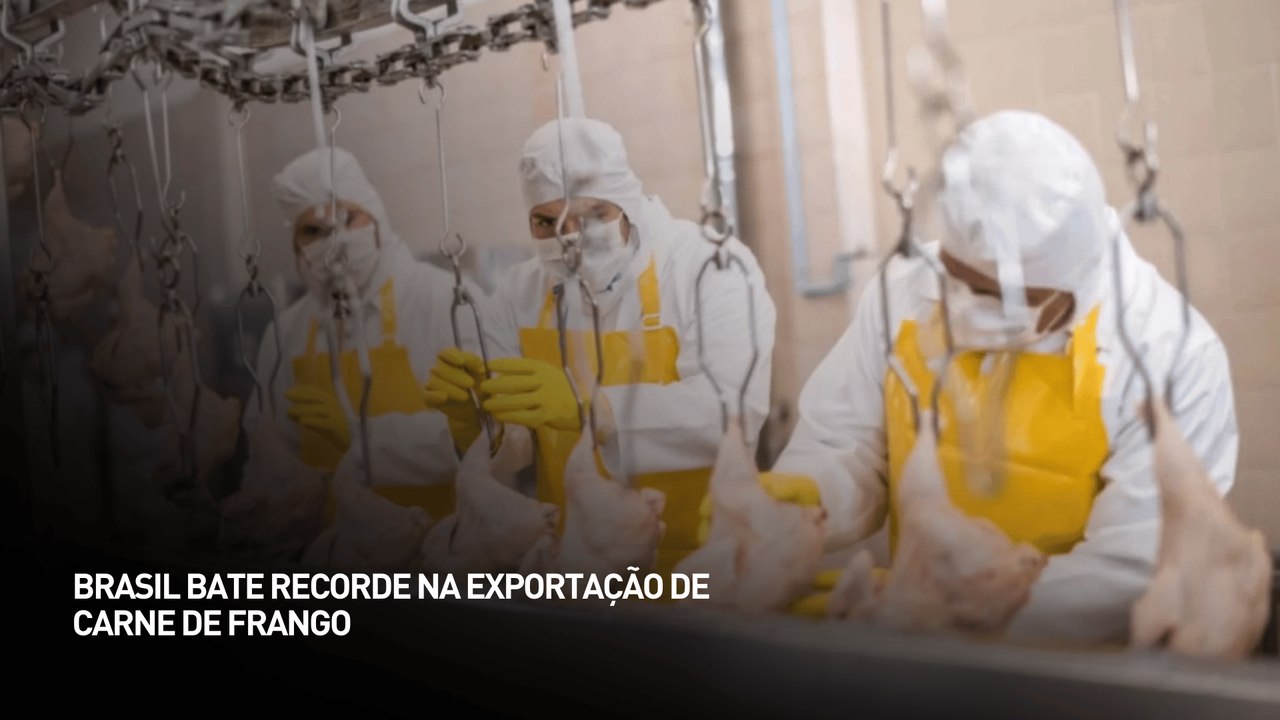 Brasil bate recorde na exportação de carne de frango