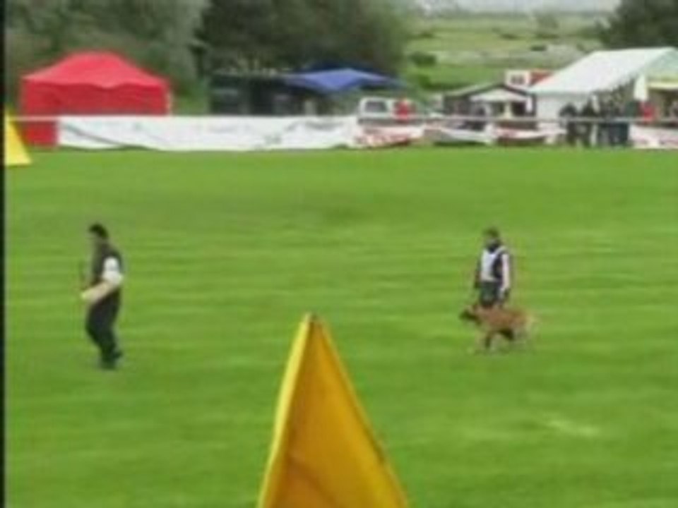 FMBB-2007-Toth/Diesel