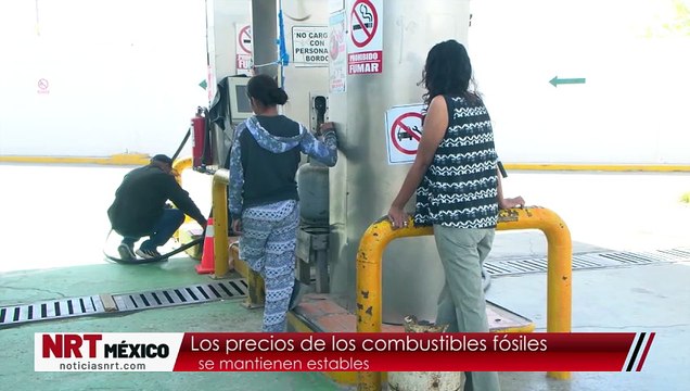 Los precios de los combustibles fósilesse mantienen estables