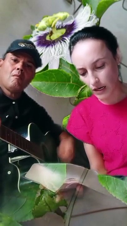 VOZ E VIOLÃO HC 151