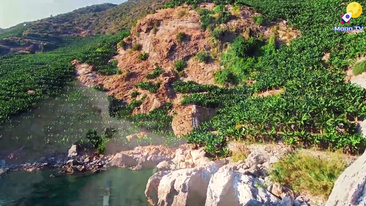 Zen Garden Meditation Music - Soothing Sounds For Mindfulness Practice