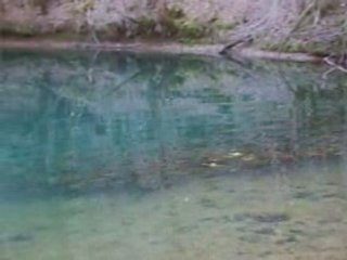 Résurgence source Saint-Sauveur