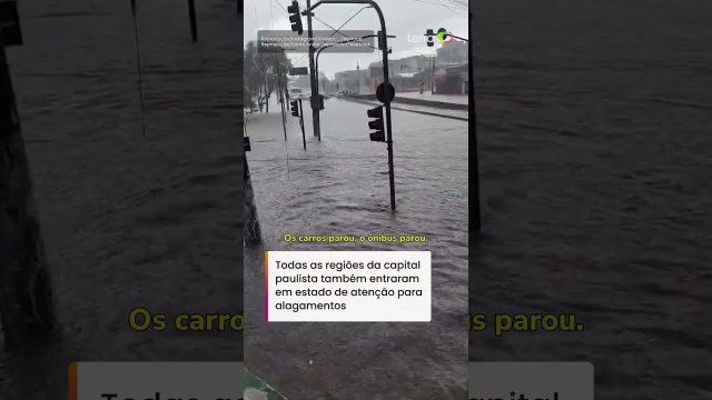 Carros boiando e pessoas com água na cintura: temporal causa transtornos na Grande SP #shorts