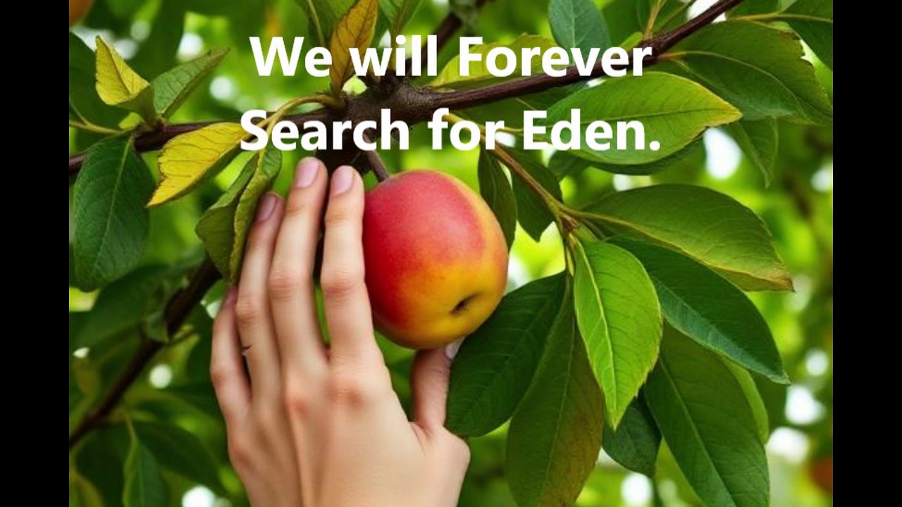 We will Forever Search for Eden (song)