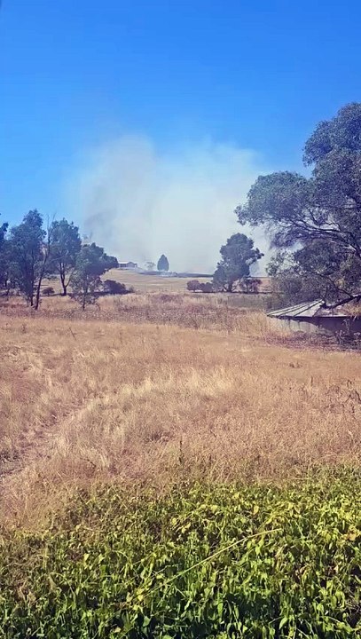 A grass fire at a Jindera property, sparked by a lawnmower
