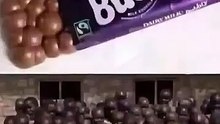 Hilarious Collection