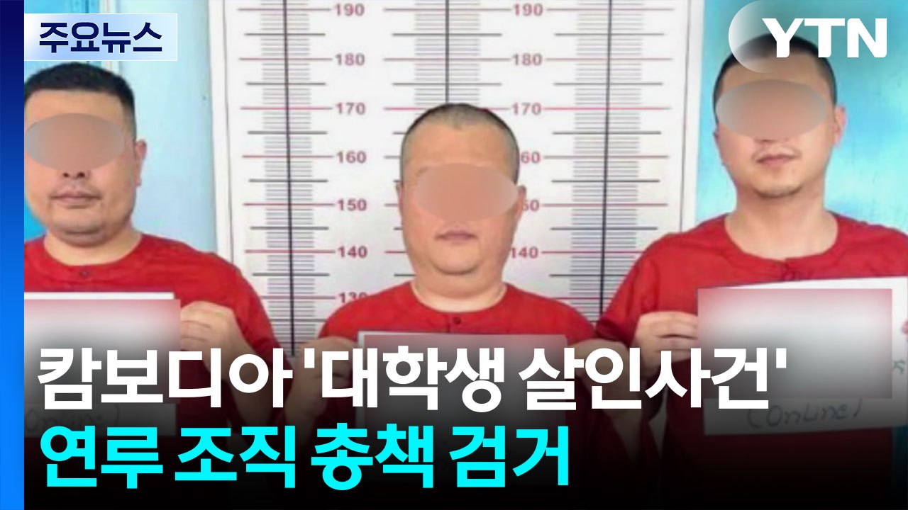 캄보디아 ’대학생 살인사건’ 연루 조직 총책 검거 / YTN