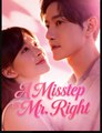 A Misstep to Mr Right Drama Movies English Sub