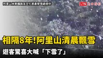 相隔8年！阿里山清晨飄雪  遊客驚喜大喊「下雪了」