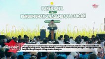 Prabowo Bangga Swasembada Pangan Tercapai dalam Setahun Kita Berdiri di Atas Kaki Sendiri