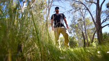 Watch as Bendigo snake catcher finds and bags snake