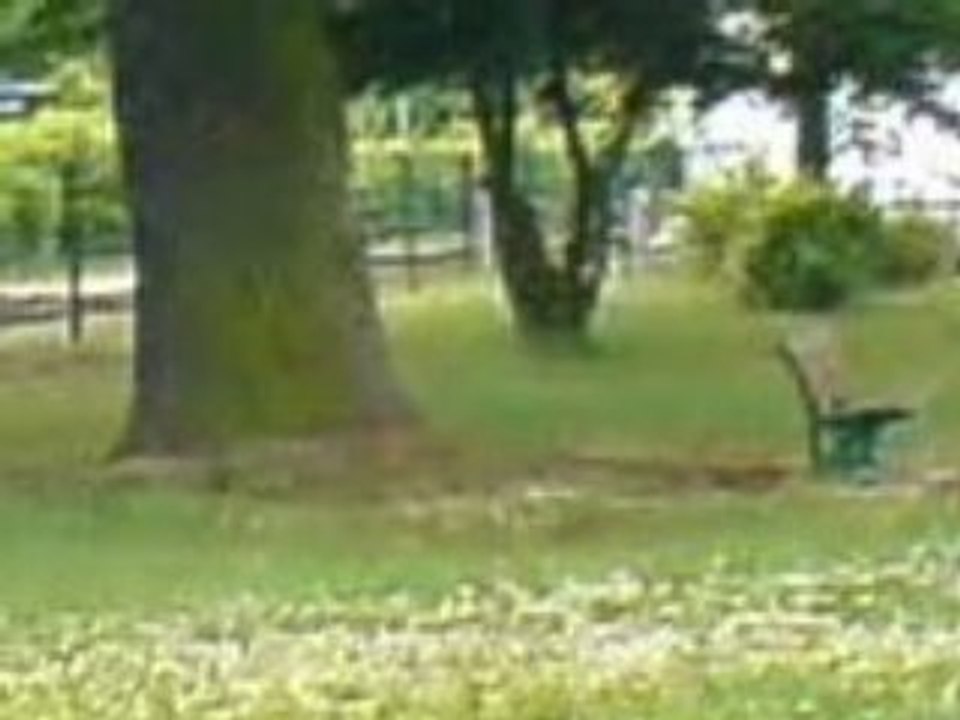 MOV00091