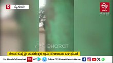 ಮೈಸೂರು: ಆನೆ ದಾಳಿಗೆ 5 ಬೈಕ್​ಗಳು ಜಖಂ - VIDEO