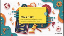 FEMA_&_LRS_Explained