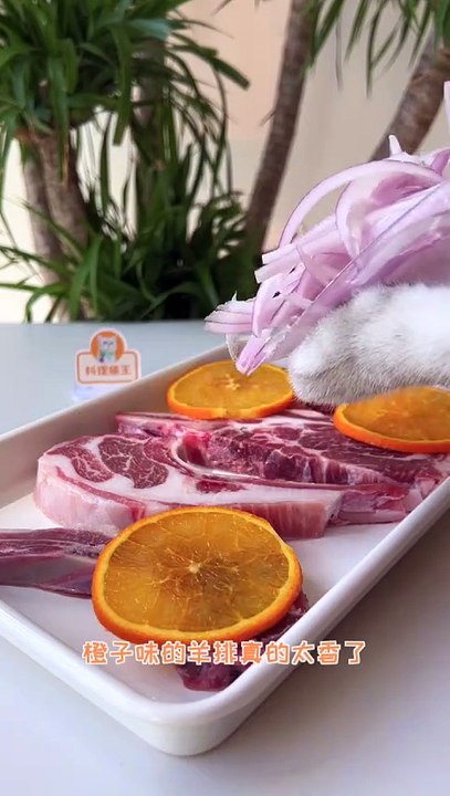 Cat Making Beef And Delicious Oranges Juice | How To Make Oranges Juice | Animals Satisfying Videos #animals #pets #fun #love #cute #beautiful #funny #catshorts #cats #satisfyingvideos  #pets #animals
